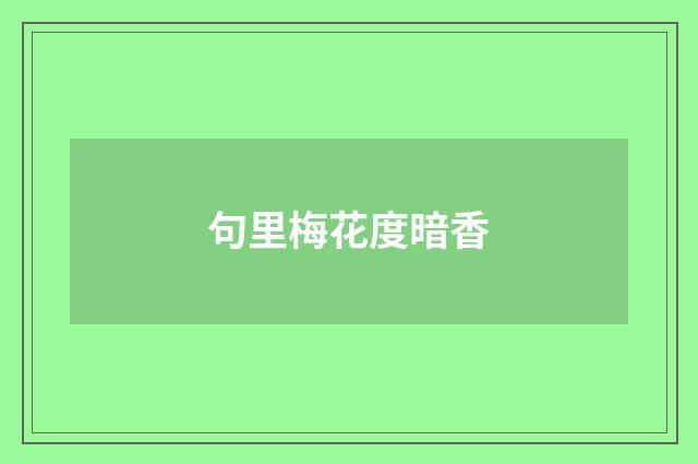 句里梅花度暗香