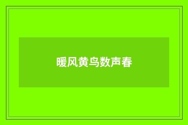 暖风黄鸟数声春