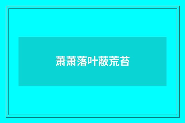 萧萧落叶蔽荒苔