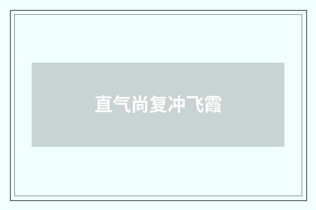 直气尚复冲飞霞