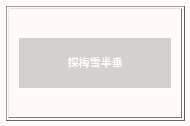 探梅雪半垂