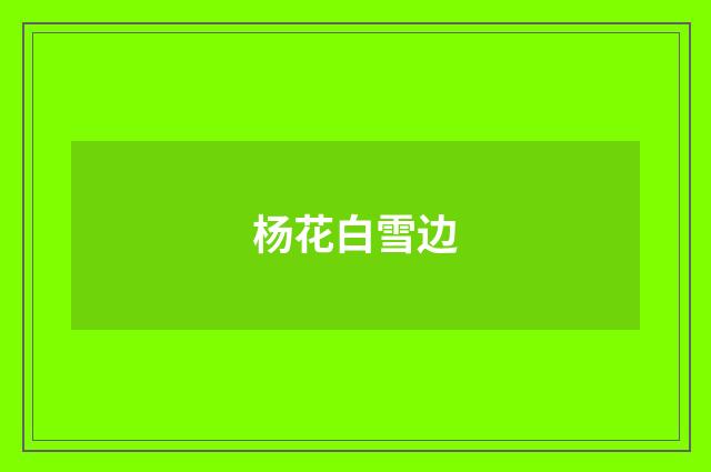 杨花白雪边