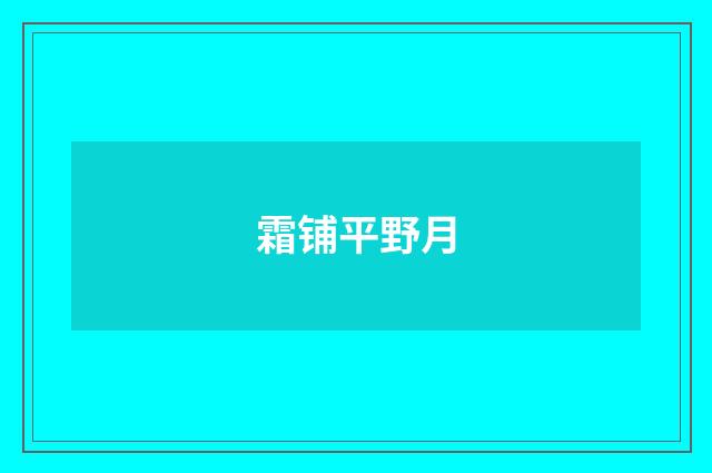 霜铺平野月