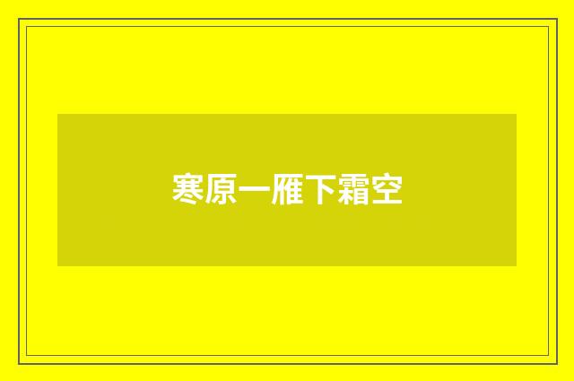 寒原一雁下霜空