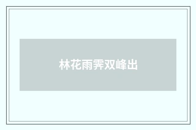 林花雨霁双峰出