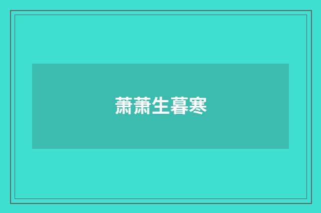 萧萧生暮寒