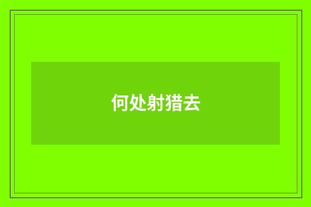 何处射猎去