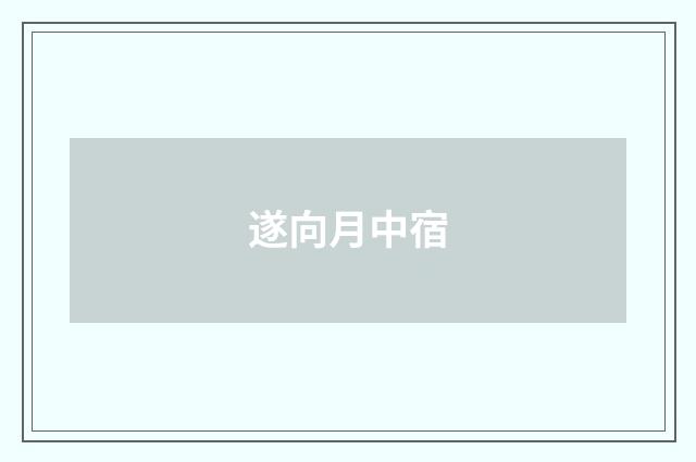遂向月中宿