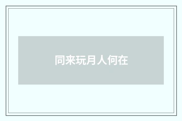 同来玩月人何在