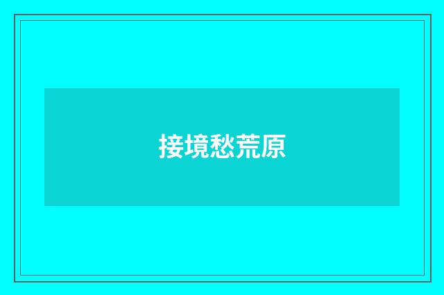 接境愁荒原