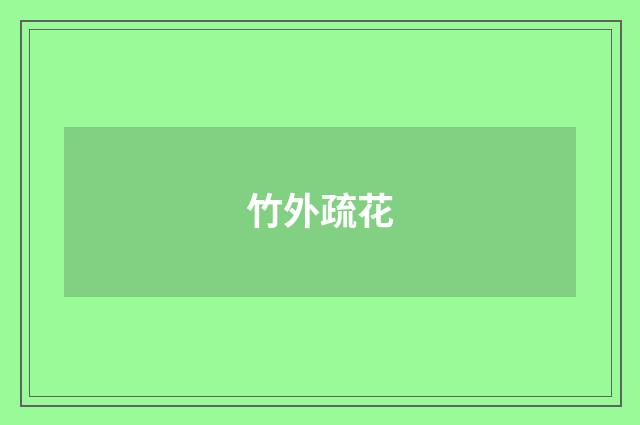 竹外疏花