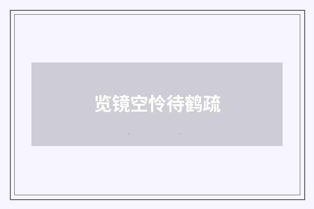 览镜空怜待鹤疏