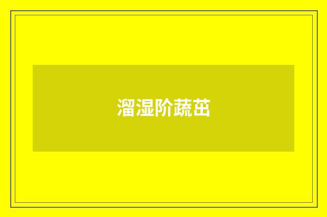 溜湿阶蔬茁