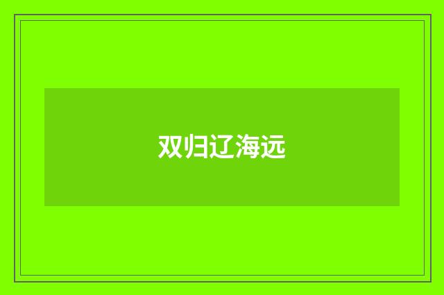 双归辽海远