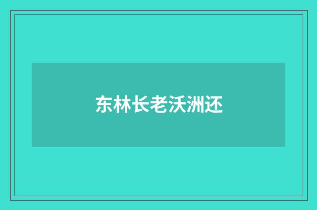 东林长老沃洲还