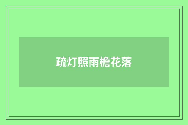疏灯照雨檐花落