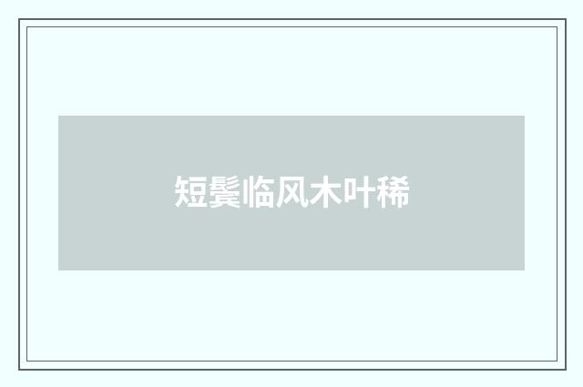 短鬓临风木叶稀
