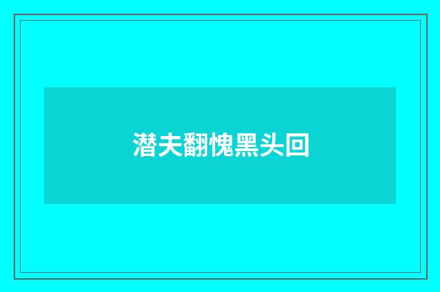 潜夫翻愧黑头回