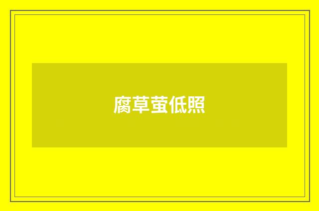 腐草萤低照