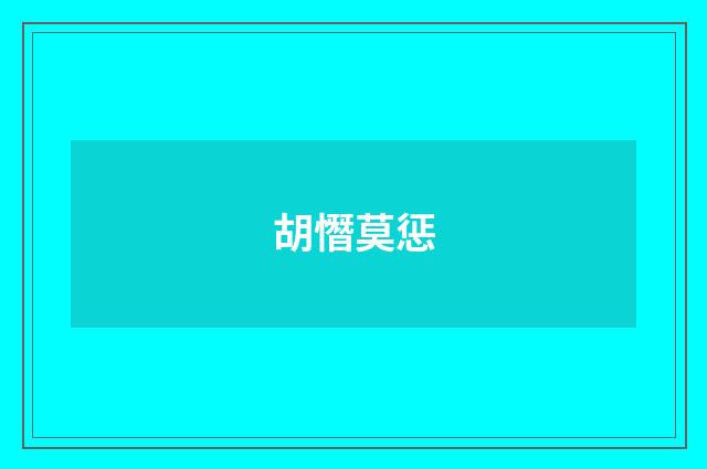 胡憯莫惩