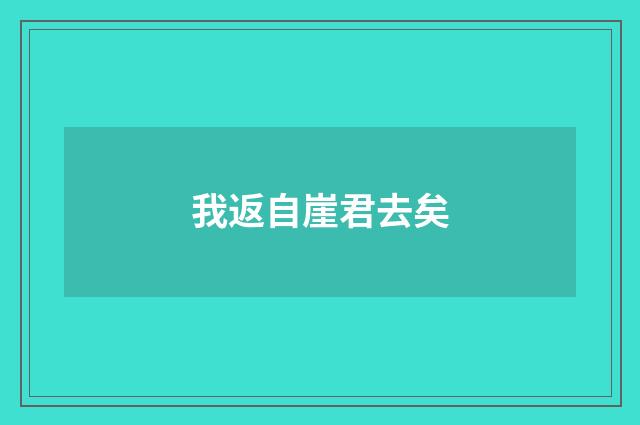 我返自崖君去矣