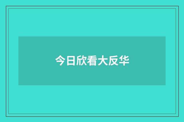 今日欣看大反华