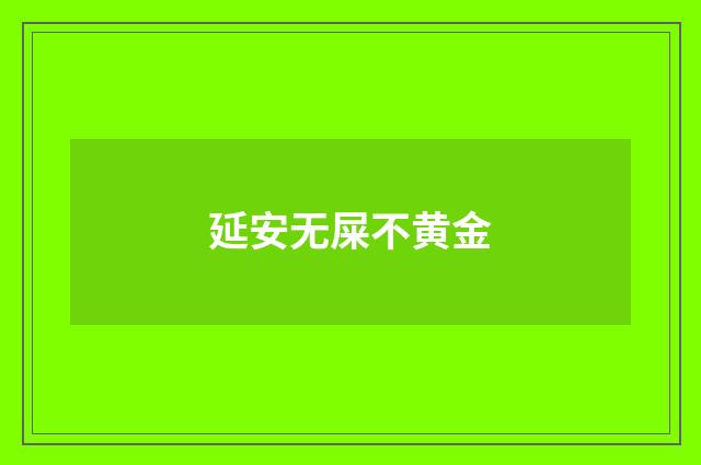 延安无屎不黄金