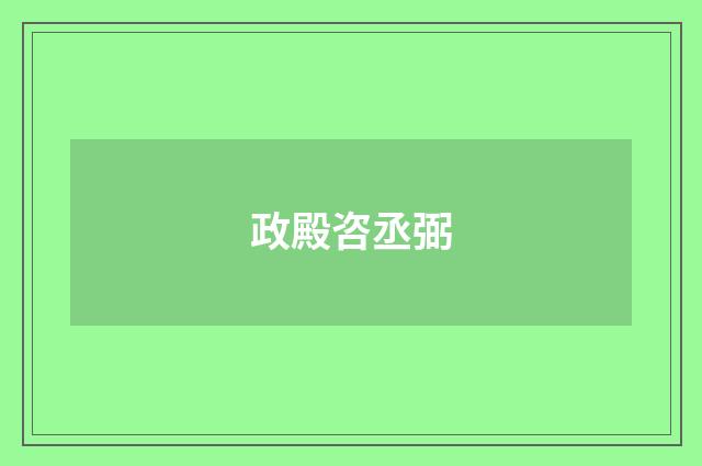 政殿咨丞弼