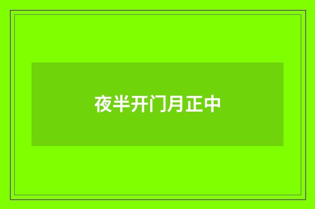 夜半开门月正中