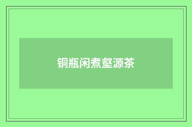 铜瓶闲煮壑源茶