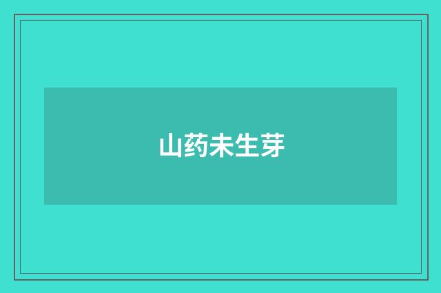 山药未生芽