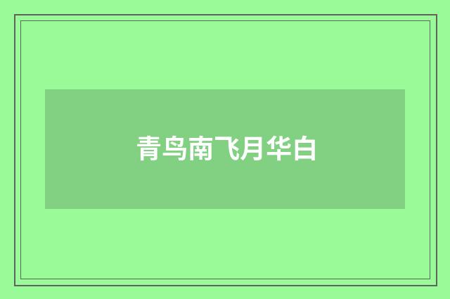 青鸟南飞月华白
