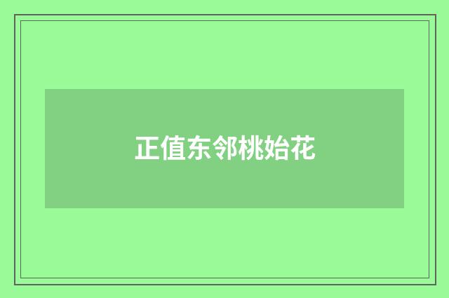 正值东邻桃始花