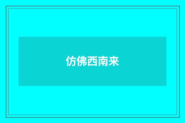仿佛西南来