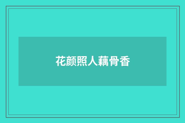 花颜照人藕骨香