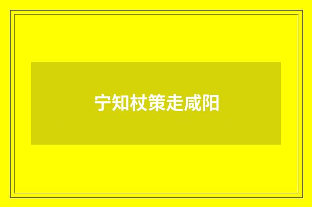 宁知杖策走咸阳