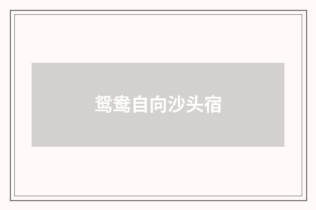 鸳鸯自向沙头宿