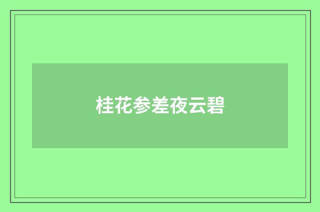 桂花参差夜云碧
