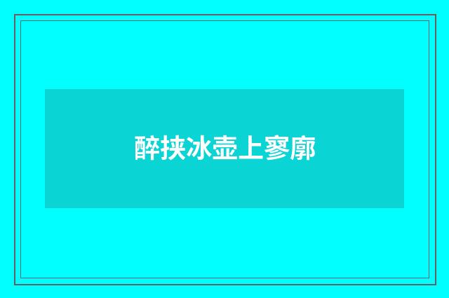 醉挟冰壶上寥廓