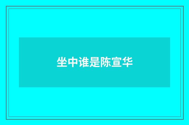 坐中谁是陈宣华