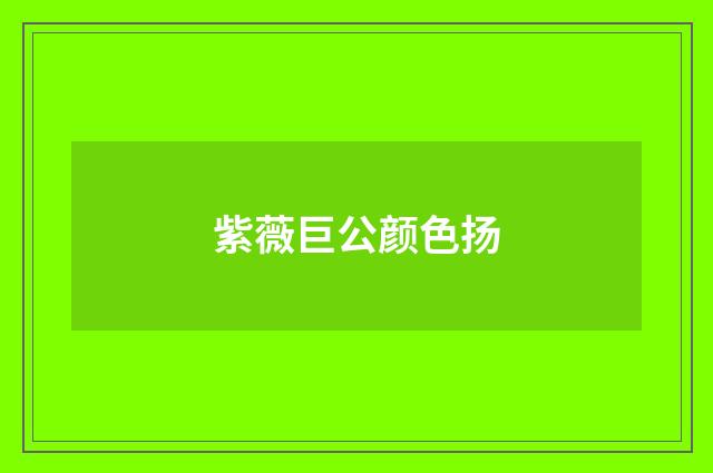 紫薇巨公颜色扬