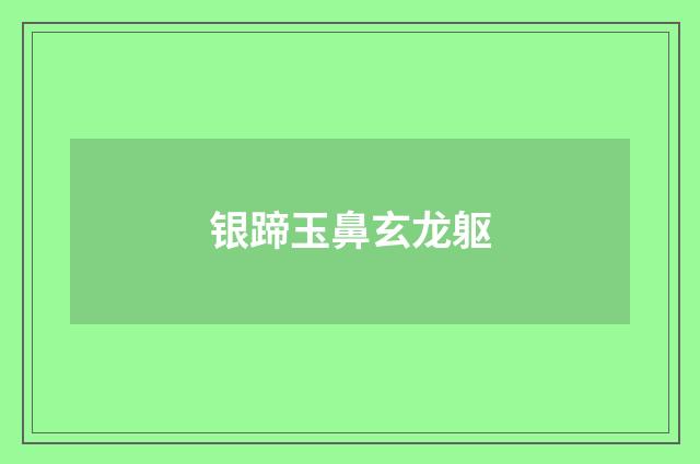 银蹄玉鼻玄龙躯
