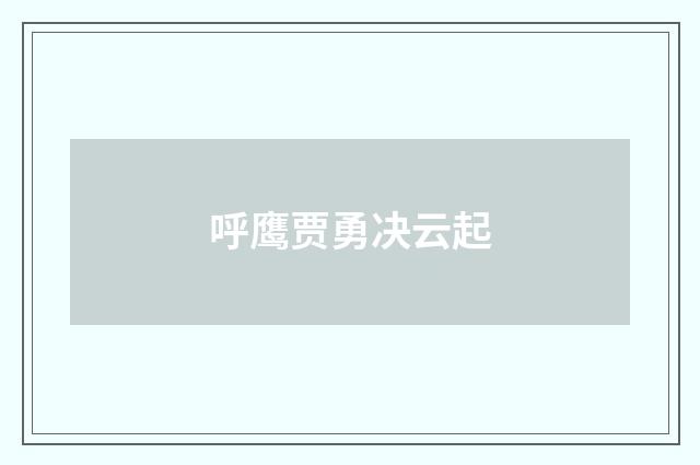 呼鹰贾勇决云起