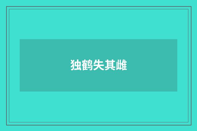 独鹤失其雌