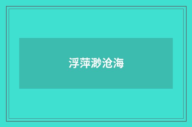 浮萍渺沧海