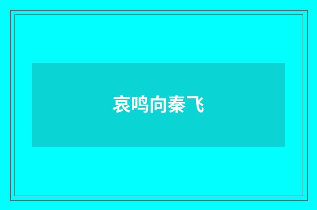 哀鸣向秦飞