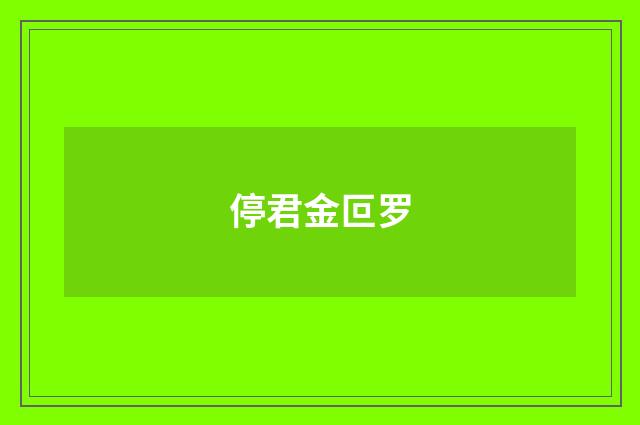 停君金叵罗