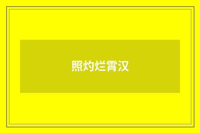 照灼烂霄汉
