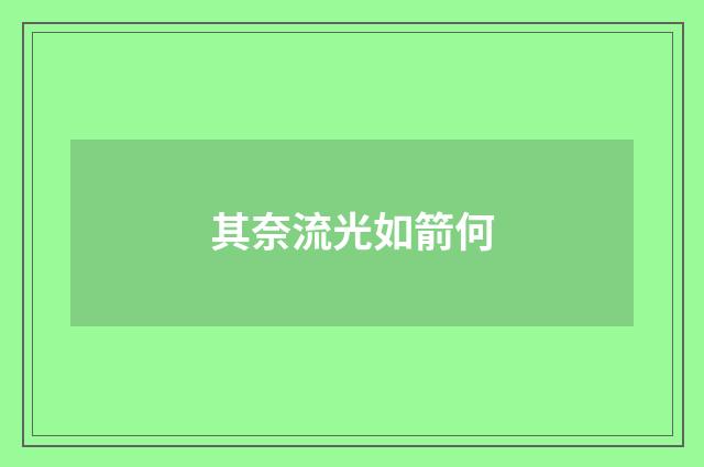其奈流光如箭何