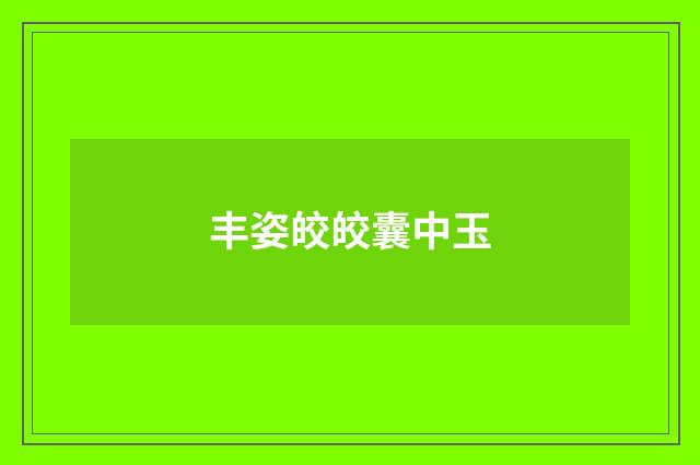丰姿皎皎囊中玉